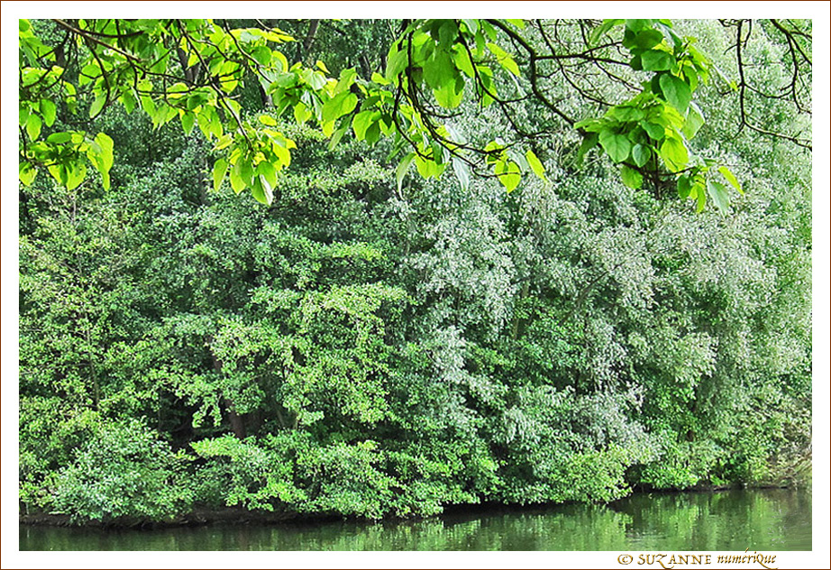Verte Symphonie -- 20/07/12