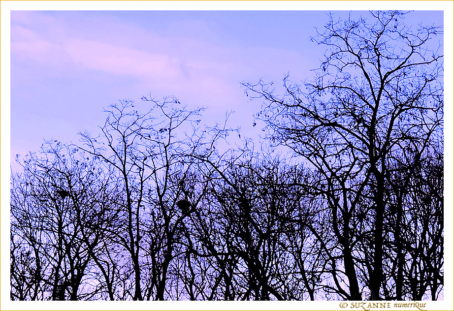 La fin de l'Hiver -- 25/03/21