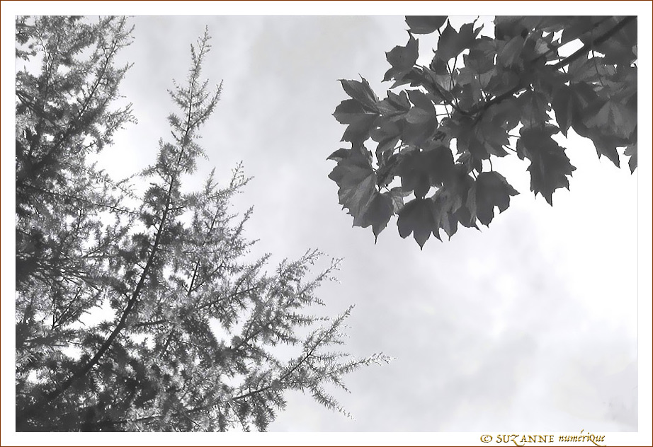 Rencontre Automne Hiver -- 22/12/13