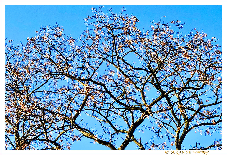 Sous le Soleil -03- Hiver 2022 -- 09/02/22