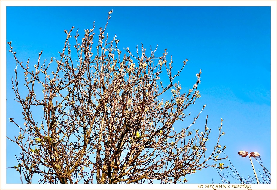 Sous le Soleil -07- Hiver 2022 -- 20/03/22