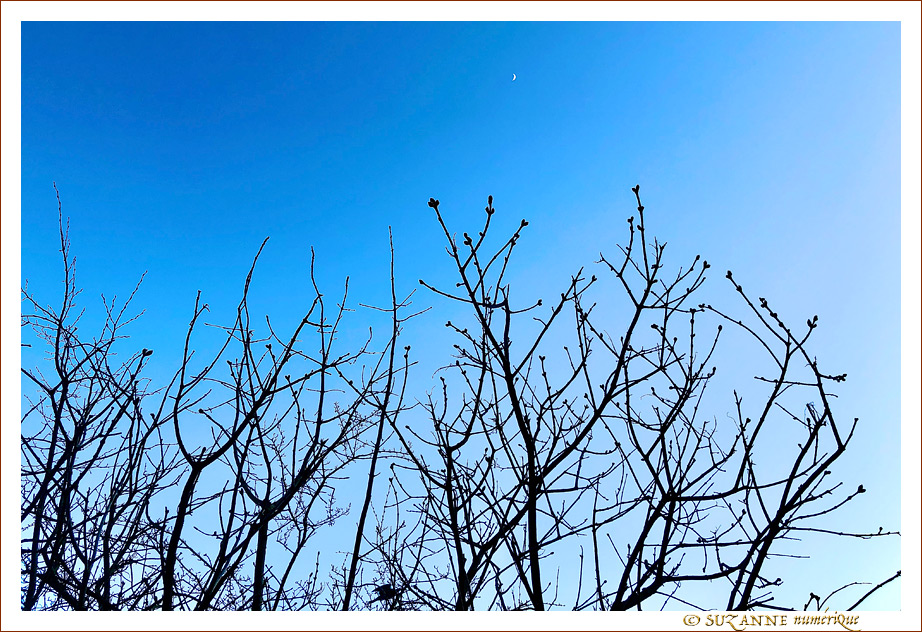 Sous le Soleil -06- Hiver 2022 -- 16/03/22