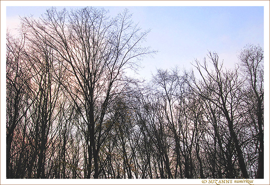 Quand le Soleil peine � percer -- 13/01/18