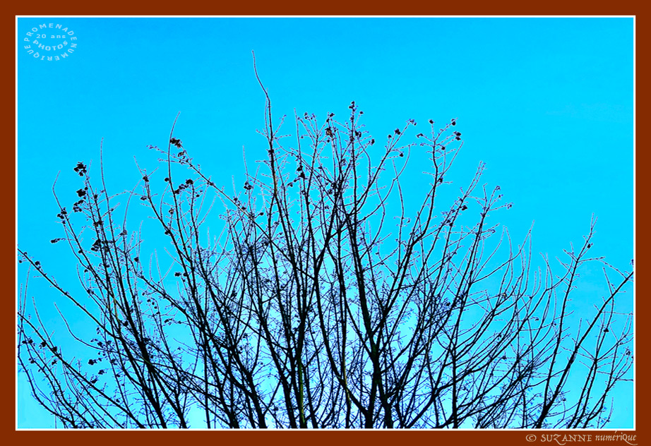Ciel d'Hiver 2025 -1- -- 09/02/25