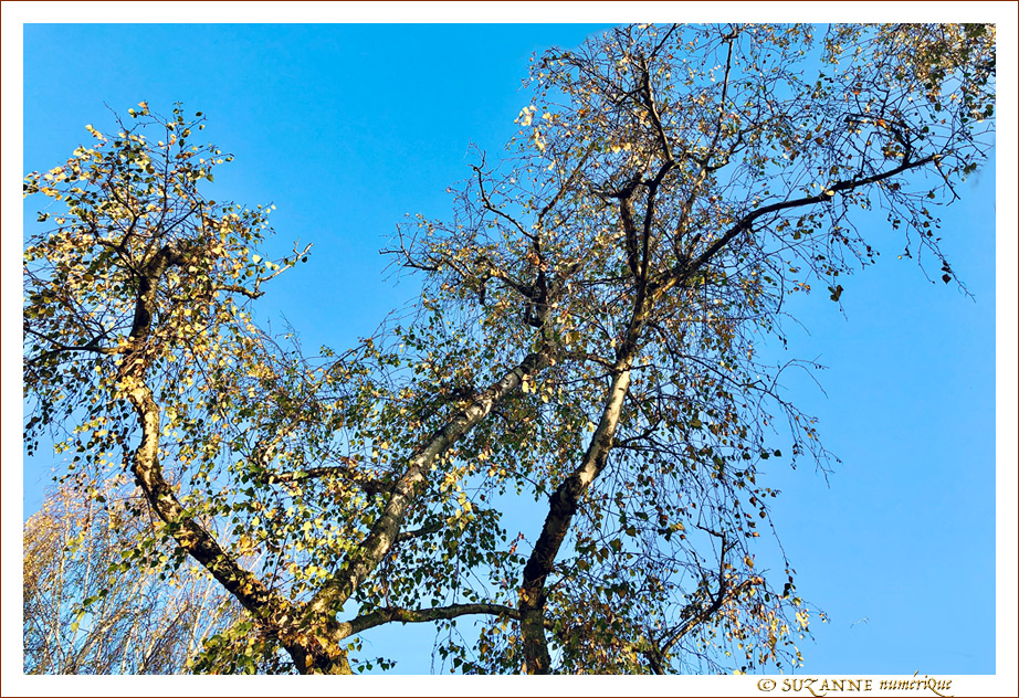 Sous le Vent -04- Automne 2021 -- 23/11/21
