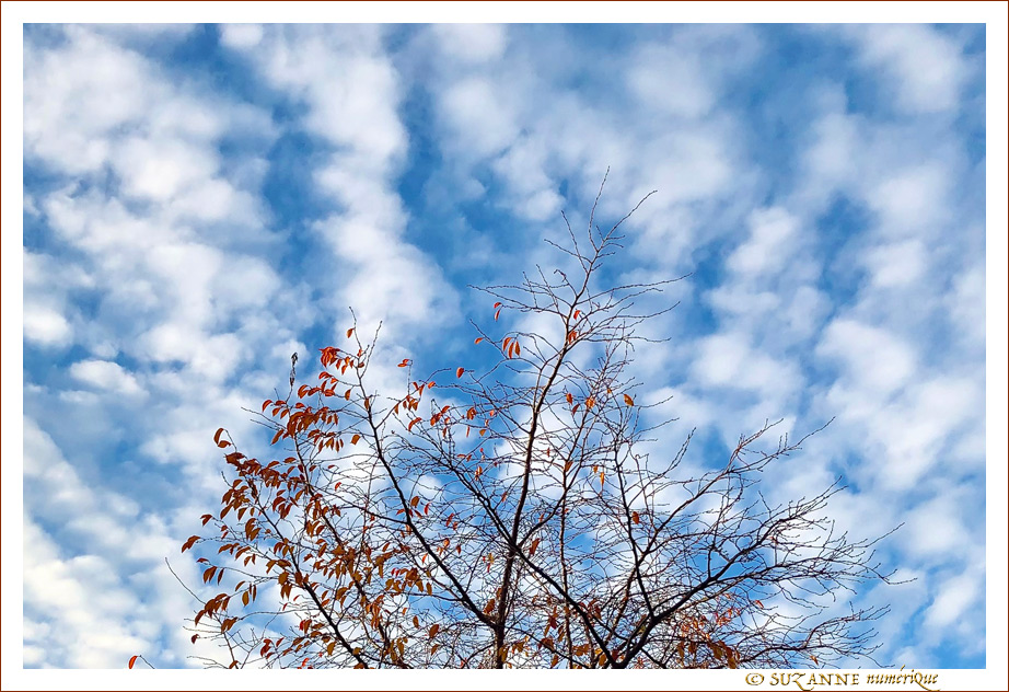 Sous le Vent -07- Automne 2021 -- 09/12/21