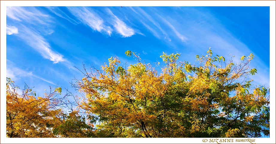V'l� l'Automne 2022 -05-