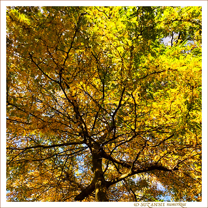 V'l� l'Automne 2022 -07- -- 02/11/22