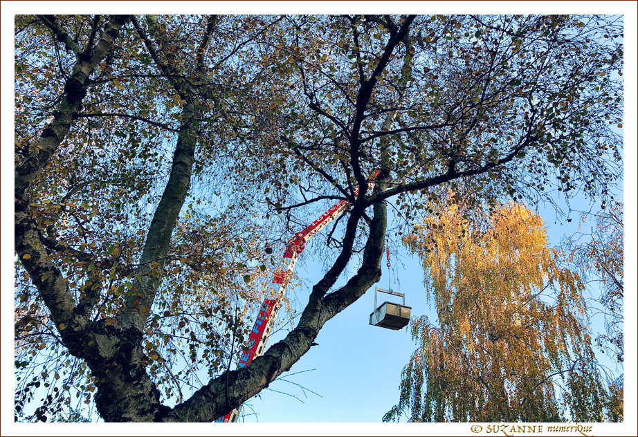 Livraison pour Saint Nicolas -2- 2021 -- 06/12/21