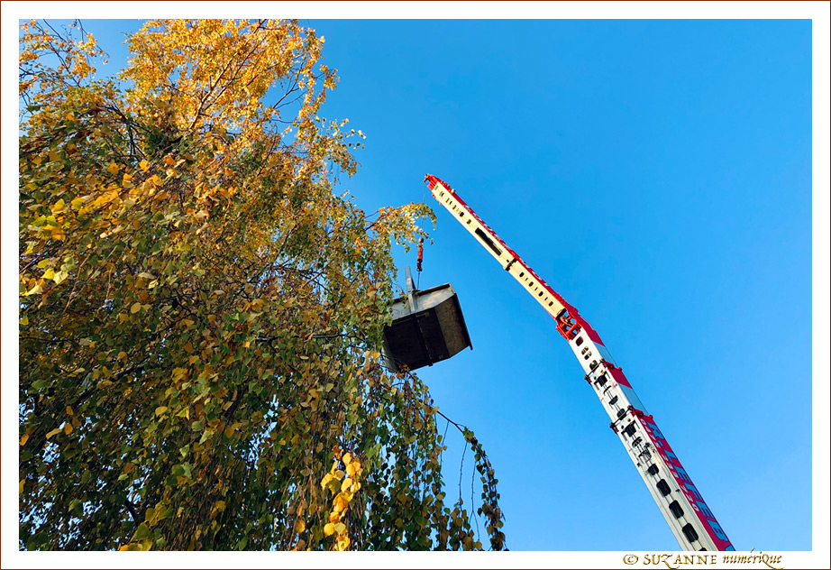 Livraison pour Saint Nicolas -1- 2021 -- 05/12/21