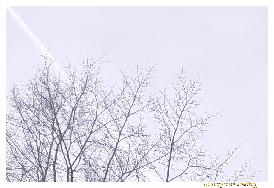 T�tes en l'air -- 02/03/19
