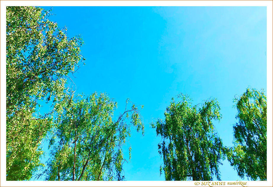 En Bleu et Vert, l'�t� 2023 -- 21/08/23