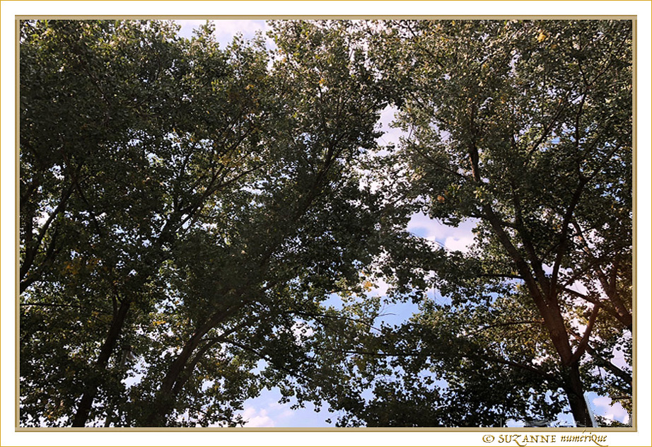 Avant l'Orage -- 07/08/18