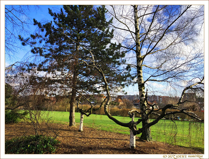 Semblables et si Diff�rents -- 23/02/18