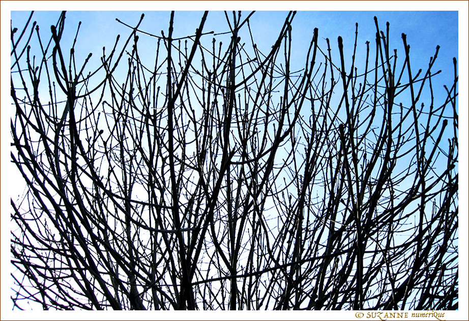 Pour certains, c'est encore l'Hiver