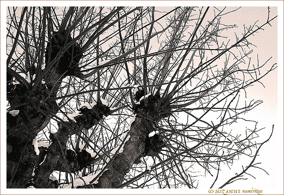 O� va la Neige�?