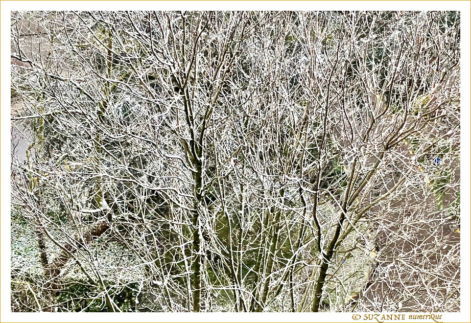Le Printemps 2021 sous la Neige -- 08/04/21