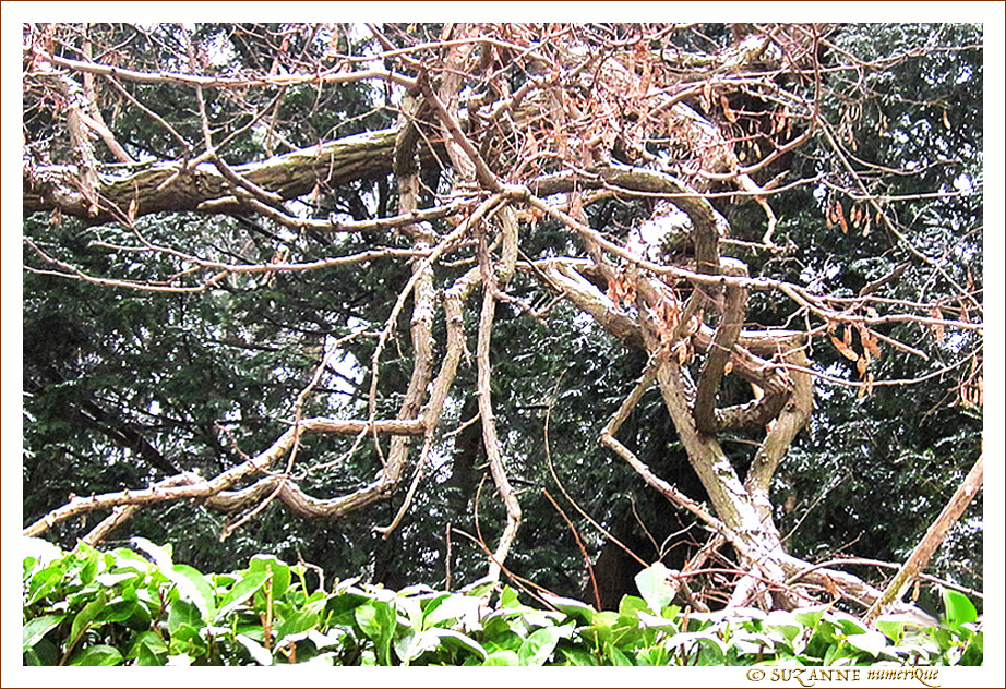 Se Recroqueviller pour se R�chauffer -- 12/02/12