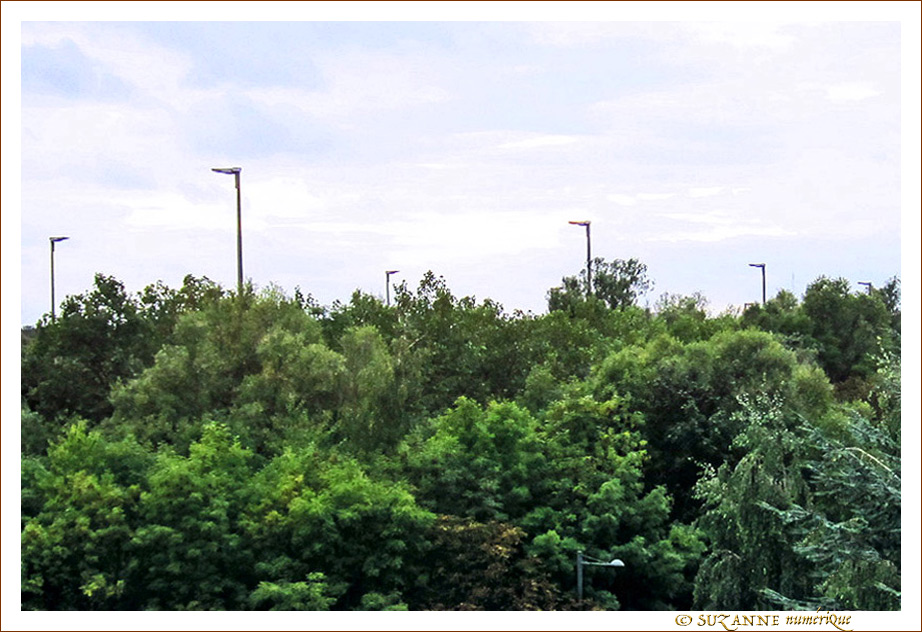 Vers l'Automne 2013 -- 05/10/13