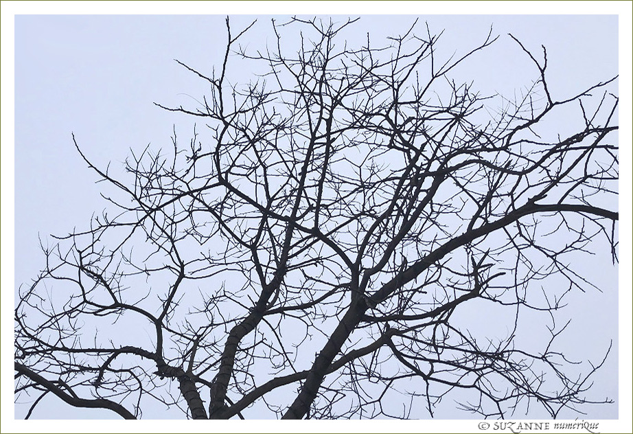 Tristement Hivernal -- 22/01/18