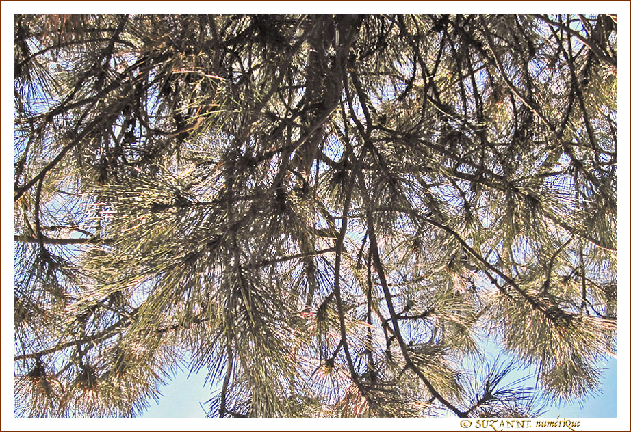 Faisceaux vers le Bas -- 14/04/13