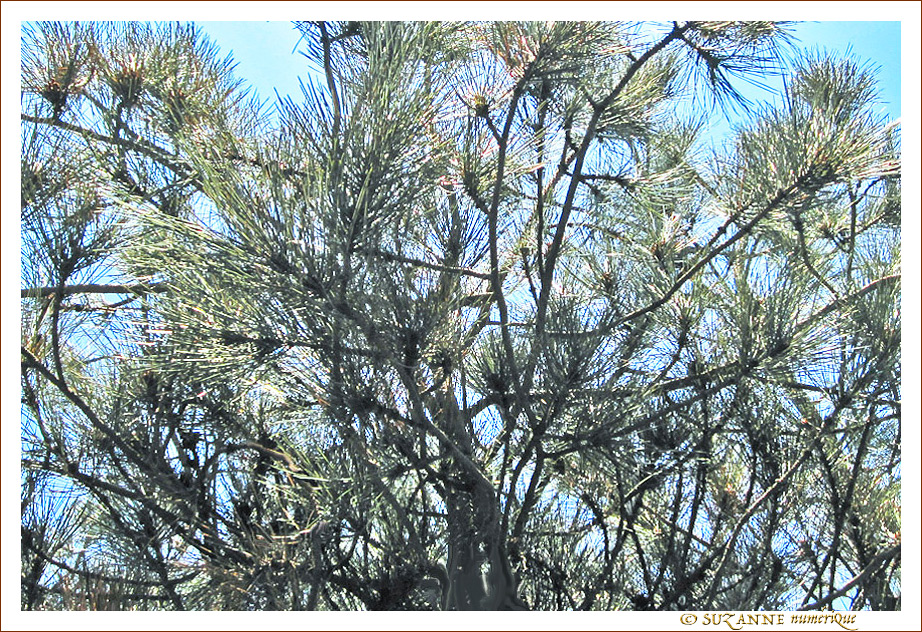 Faisceaux vers le Haut -- 07/04/13