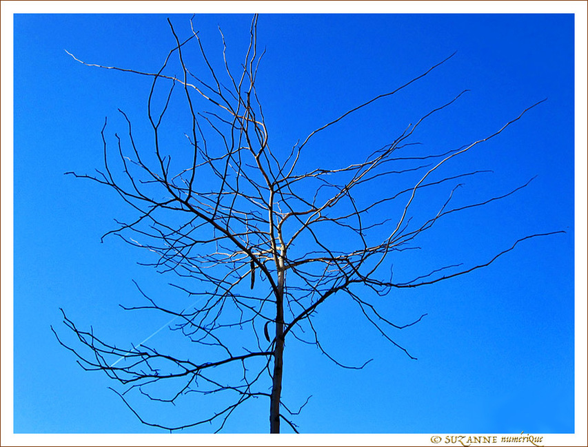 Un p'tit Coup de Soleil -- 12/03/13