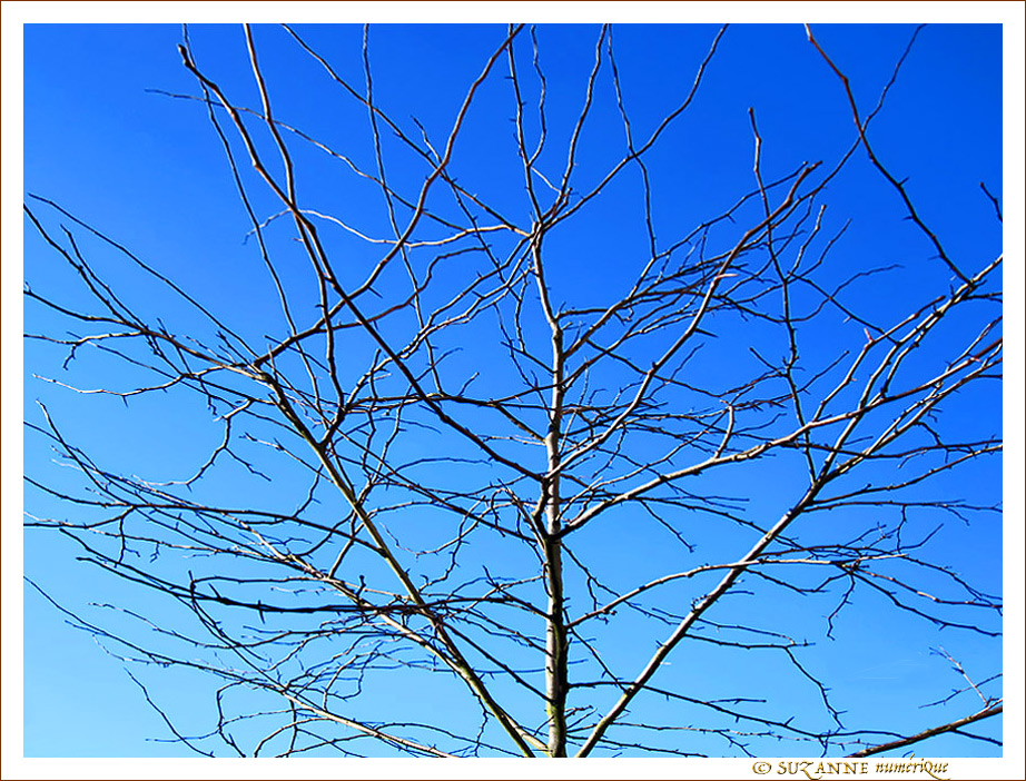 Quand l'Hiver accueille le Soleil -- 14/03/13