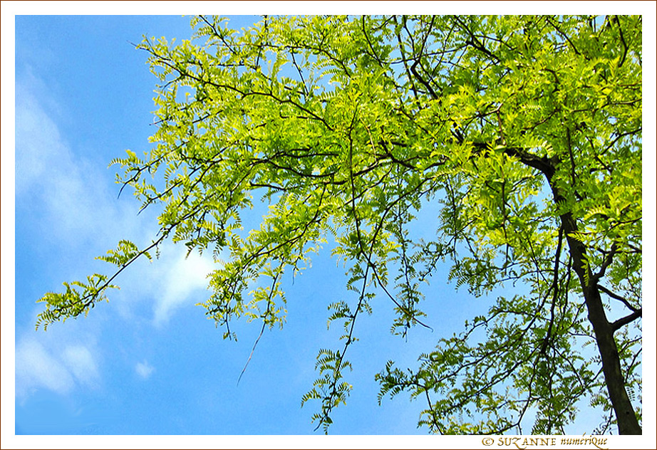 Vert un Doux Et� -- 24/06/13