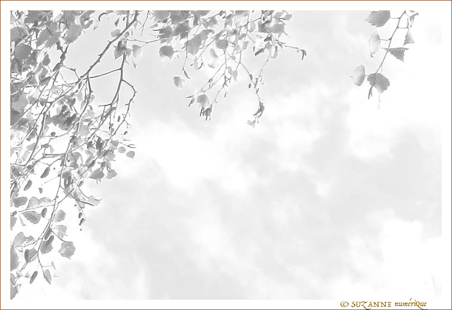 Comme des Feuilles en Hiver -- 13/01/14