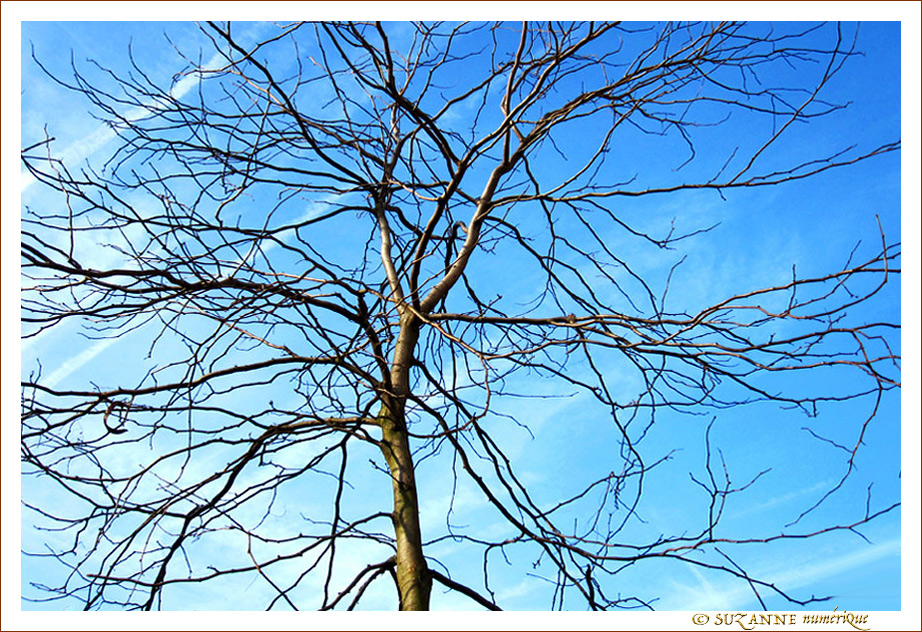 Branches d�licates -- 17/02/18