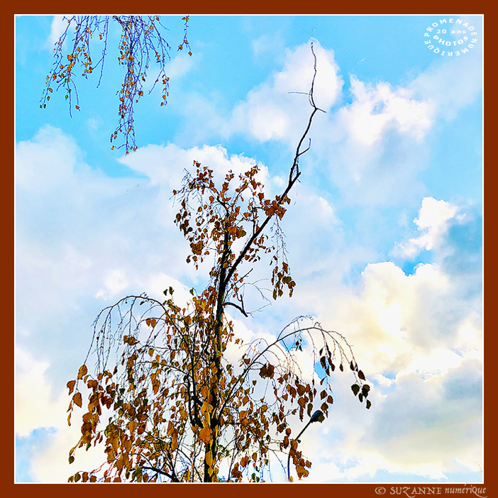 V'l� l'Automne 2024 -06- -- 11/12/24