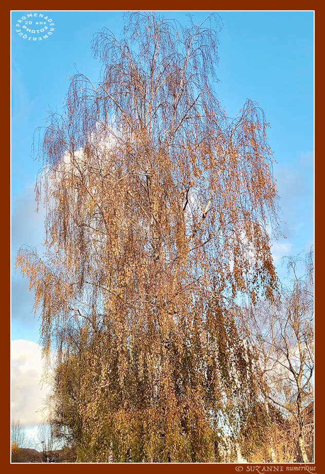 V'l� l'Automne 2024 -07- -- 14/12/24