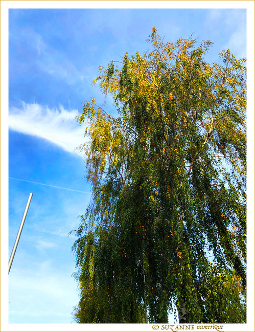 Grandir, toujours grandir... -- 09/11/19