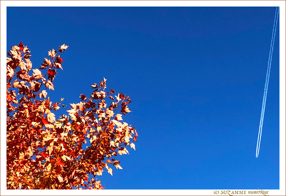 Sous le Vent -01- Automne 2021 -- 13/11/21