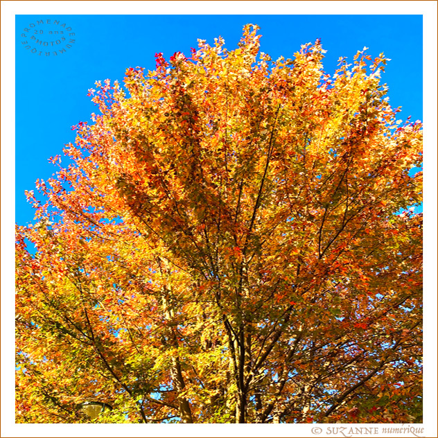 V'l� l'Automne 2024 -02-