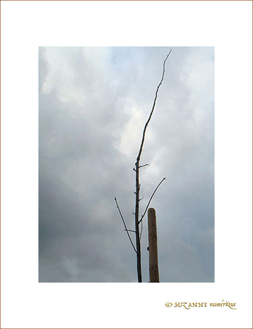 Branche Solitude -- 23/11/08
