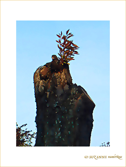 Automne et renouveau