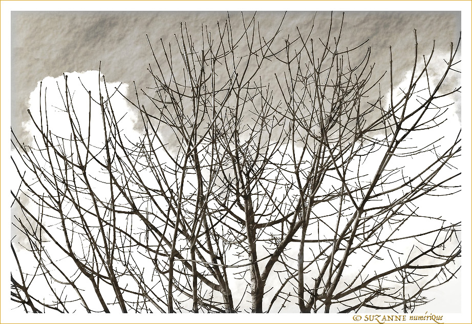 L'Hiver est bien l�! -- 21/12/19