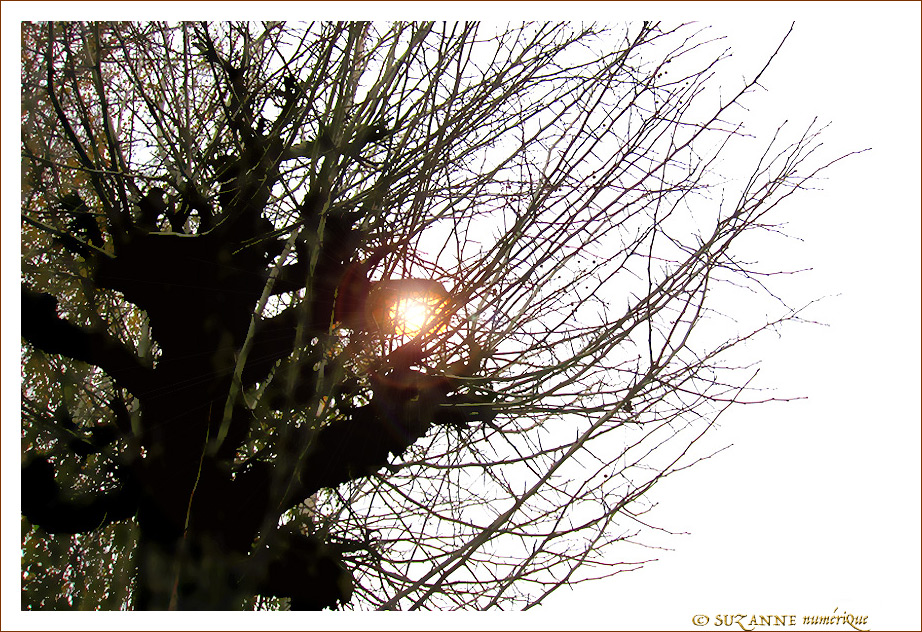 Lumi�re hivernale