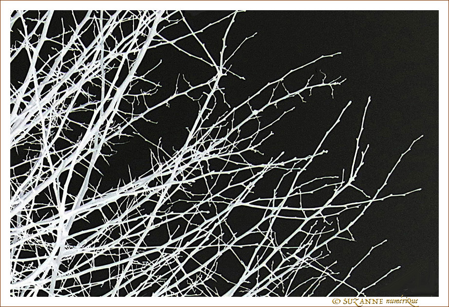 Neige�? -- 01/01/11
