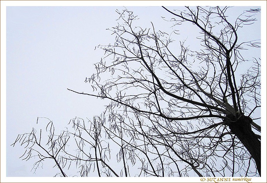 Vent d'Est�? Vent d'Ouest�? -- 06/03/15