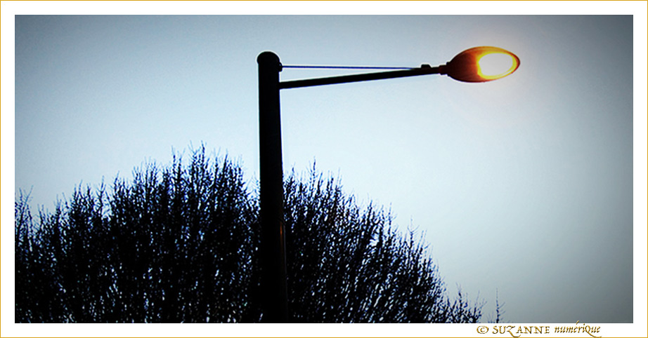 Ambiance hivernale  -- 27/02/20