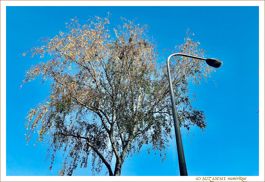 Sous le Vent -02- Automne 2021 -- 16/11/21