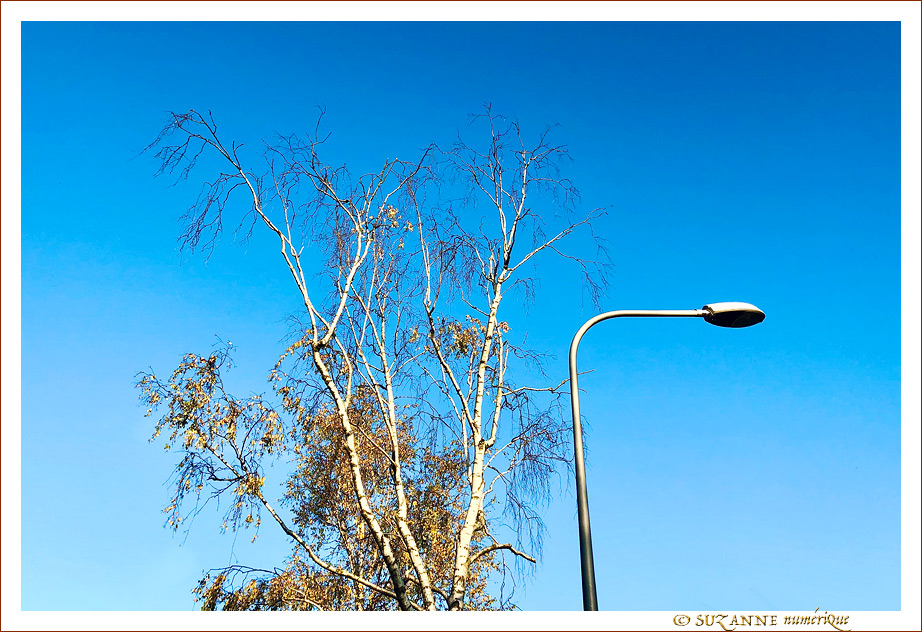 Sous le Vent -03- Automne 2021 -- 20/11/21