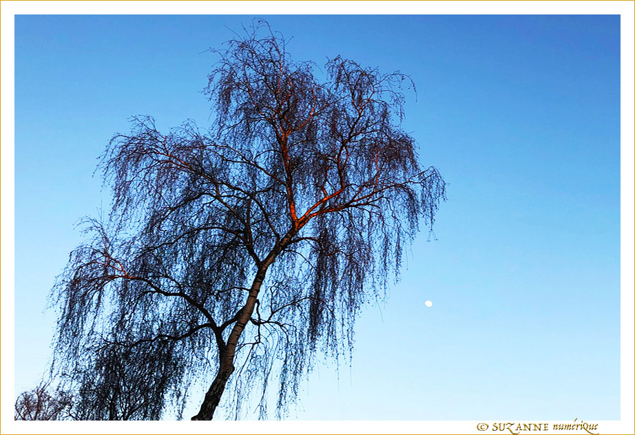 Le Soleil avait rendez-vous avec la Lune � 17h. -- 08/02/20