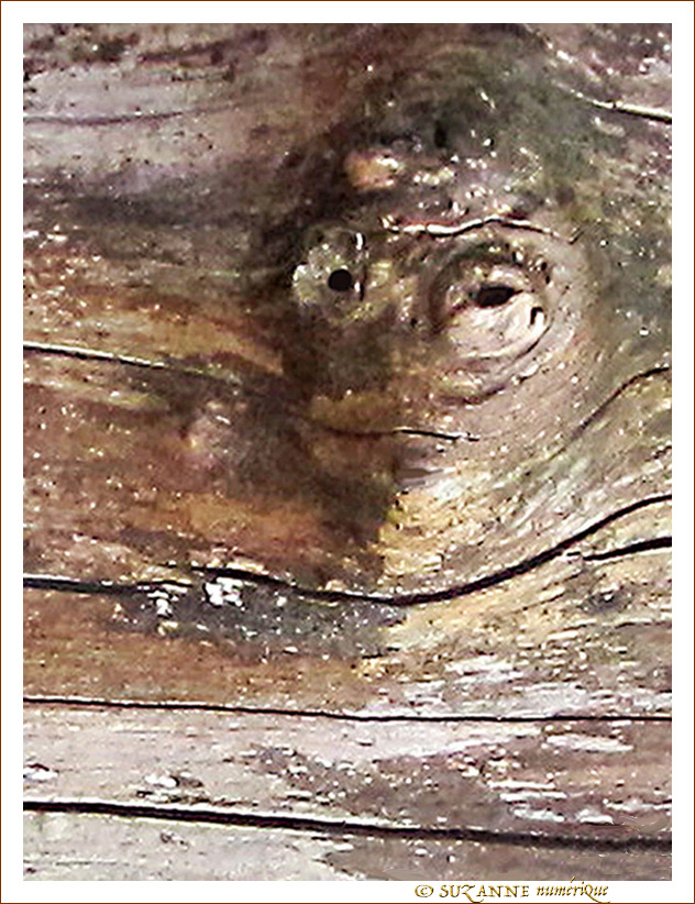 Sous surveillance -- 28/04/12