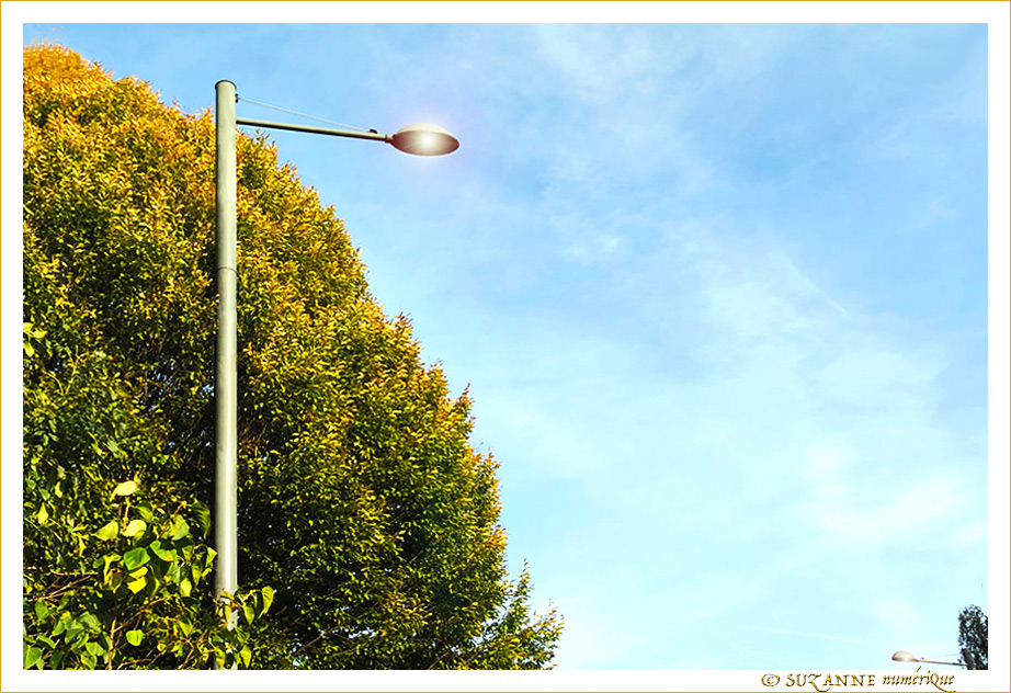 H� ho�! �a va tout l�-bas�? -- 16/11/19