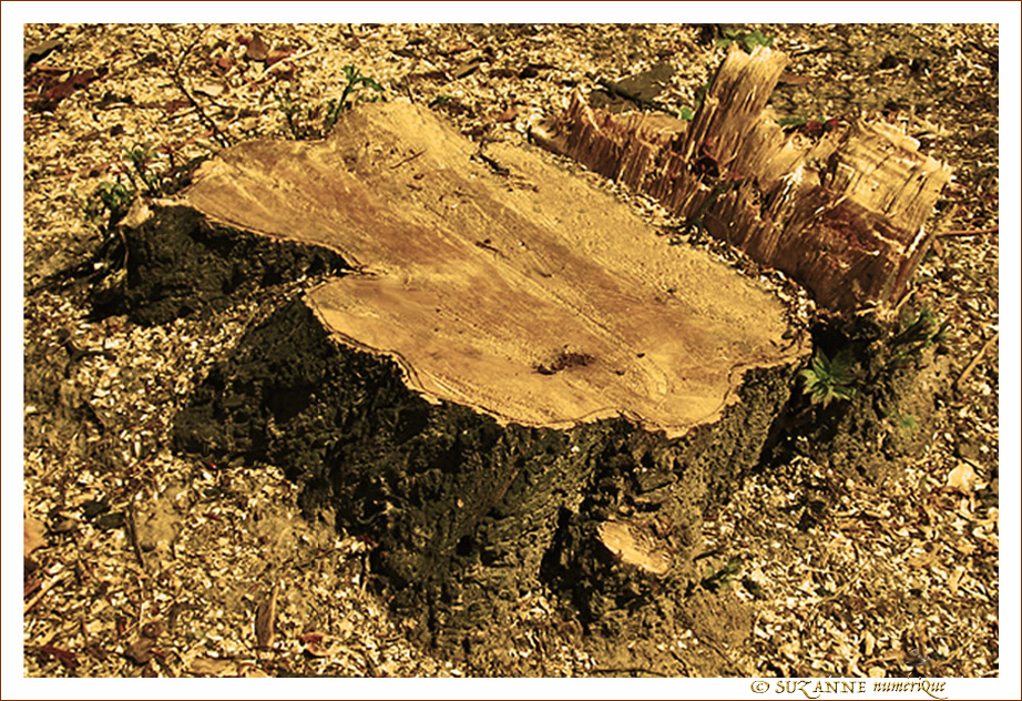 Vie sci�e -- 25/02/11