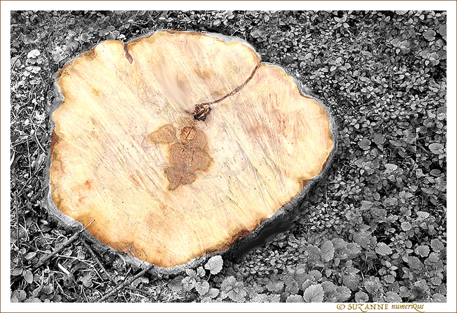J'en suis sci�e -- 19/01/12